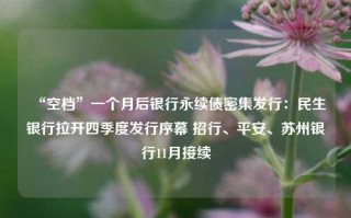 “空档”一个月后银行永续债密集发行：民生银行拉开四季度发行序幕 招行、平安、苏州银行11月接续