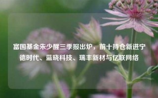 富国基金朱少醒三季报出炉，前十持仓新进宁德时代、蓝晓科技、瑞丰新材与亿联网络