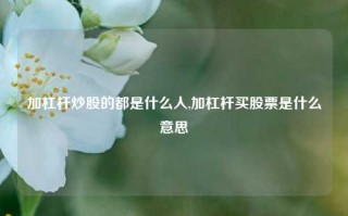 加杠杆炒股的都是什么人,加杠杆买股票是什么意思