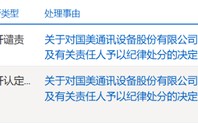 又一财务造假、欺诈发行！重罚3396万，其中财务总监被罚300万