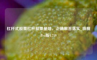 杠杆式股票杠杆股票是啥，正确解答落实_旗舰Pro版4.719