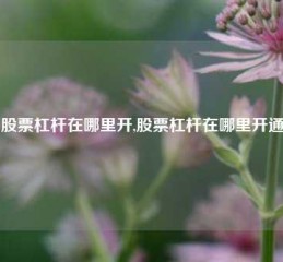 股票杠杆在哪里开,股票杠杆在哪里开通