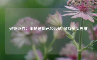 兴业证券：市场逻辑已经反转 保持多头思维