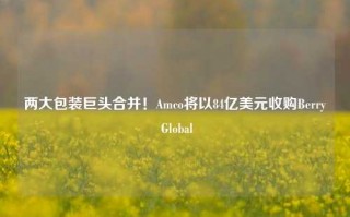 两大包装巨头合并！Amco将以84亿美元收购Berry Global