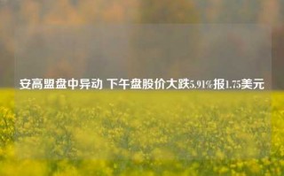 安高盟盘中异动 下午盘股价大跌5.91%报1.75美元