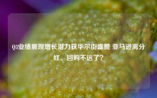 Q3业绩展现增长潜力获华尔街盛赞 亚马逊离分红、回购不远了？