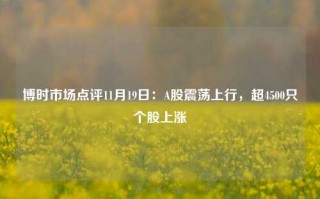 博时市场点评11月19日：A股震荡上行，超4500只个股上涨