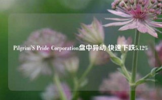 Pilgrim'S Pride Corporation盘中异动 快速下跌5.12%