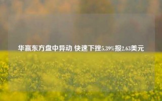 华赢东方盘中异动 快速下挫5.39%报2.63美元