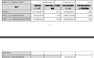 张家港行：前三季度实现归母净利润14.86亿元 同比增长6.28%