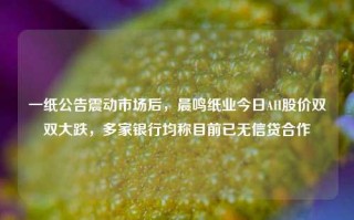 一纸公告震动市场后，晨鸣纸业今日AH股价双双大跌，多家银行均称目前已无信贷合作