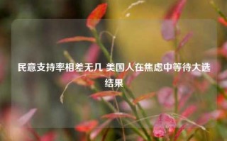 民意支持率相差无几 美国人在焦虑中等待大选结果