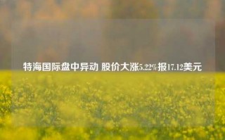 特海国际盘中异动 股价大涨5.22%报17.12美元