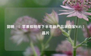 郭明錤：苹果拟明年下半年新产品采自家WiFi 7晶片