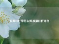 股票杠杆率怎么算,股票杠杆比例