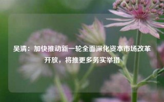 吴清：加快推动新一轮全面深化资本市场改革开放，将推更多务实举措