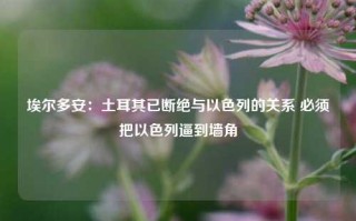 埃尔多安：土耳其已断绝与以色列的关系 必须把以色列逼到墙角