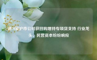 逾70家沪市公司获回购增持专项贷支持 行业龙头、民营资本纷纷响应