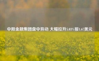 中阳金融集团盘中异动 大幅拉升5.03%报1.67美元