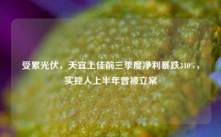 受累光伏，天宜上佳前三季度净利暴跌340%，实控人上半年曾被立案