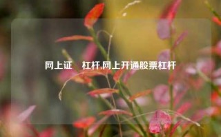 网上证劵杠杆,网上开通股票杠杆