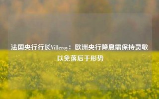 法国央行行长Villeroy：欧洲央行降息需保持灵敏 以免落后于形势