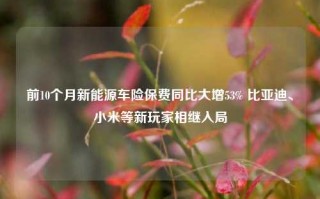 前10个月新能源车险保费同比大增53% 比亚迪、小米等新玩家相继入局