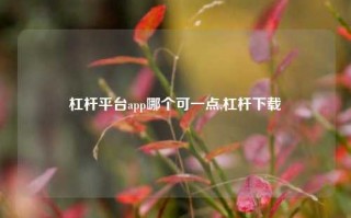 杠杆平台app哪个可一点,杠杆下载