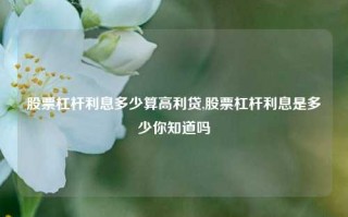 股票杠杆利息多少算高利贷,股票杠杆利息是多少你知道吗