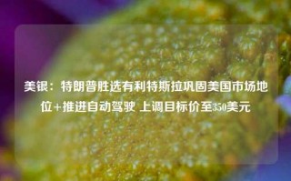 美银：特朗普胜选有利特斯拉巩固美国市场地位+推进自动驾驶 上调目标价至350美元