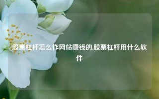 股票杠杆怎么作网站赚钱的,股票杠杆用什么软件