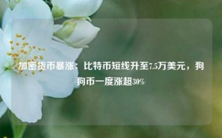 加密货币暴涨：比特币短线升至7.5万美元，狗狗币一度涨超30%