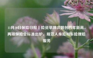 11月20日保险日报丨险资举牌次数创四年新高，两项保险业标准出炉，规范人身险和车险理赔服务