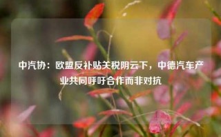 中汽协：欧盟反补贴关税阴云下，中德汽车产业共同呼吁合作而非对抗