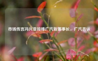 市场传言冯兴亚接棒广汽新董事长，广汽否认