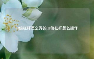 10倍杠杆怎么弄的,10倍杠杆怎么操作