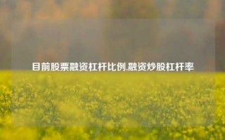 目前股票融资杠杆比例,融资炒股杠杆率