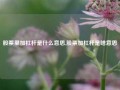 股票里加杠杆是什么意思,股票加杠杆是啥意思