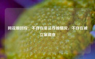 同花顺回应：不存在非法荐股情况，不存在被立案调查