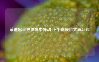 莱迪思半导体盘中异动 下午盘股价大跌5.04%