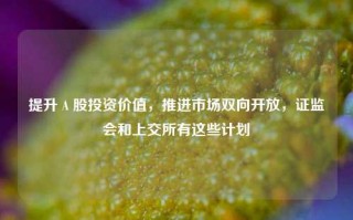 提升Ａ股投资价值，推进市场双向开放，证监会和上交所有这些计划