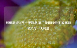 股票融资50万一天利息,第二天可以偿还,股票融资25万一天利息