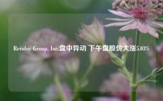 Revolve Group, Inc.盘中异动 下午盘股价大涨5.03%