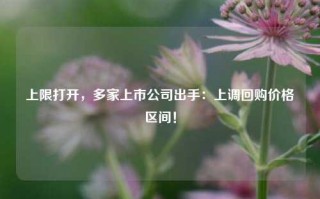 上限打开，多家上市公司出手：上调回购价格区间！