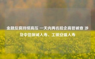 金融反腐持续高压 一天内两名险企高管被查 涉及中信保诚人寿、工银安盛人寿