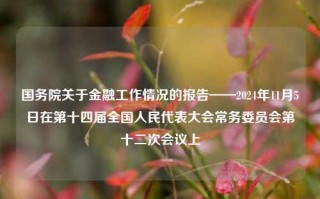 国务院关于金融工作情况的报告——2024年11月5日在第十四届全国人民代表大会常务委员会第十二次会议上