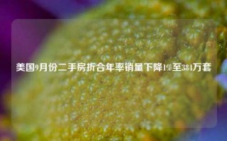 美国9月份二手房折合年率销量下降1%至384万套