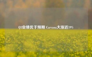 Q3业绩优于预期 Carvana大涨近19%