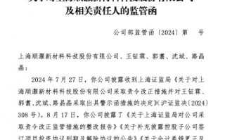 多个财报财务数据不准确、信披违规，顺灏股份收监管函