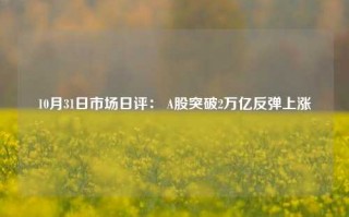 10月31日市场日评： A股突破2万亿反弹上涨